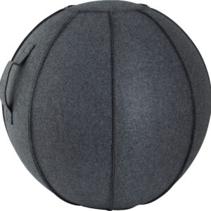Κάλυμμα για Μπάλα Γυμναστικής AMILA GYMBALL 75cm