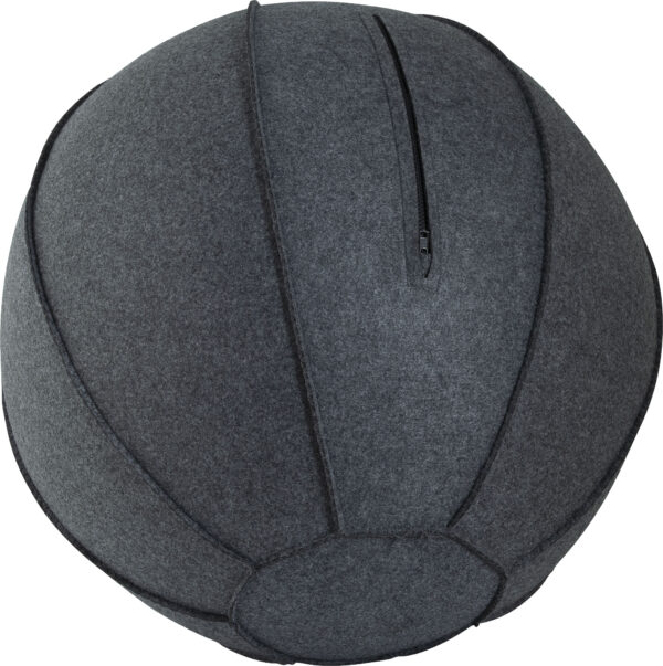 Κάλυμμα για Μπάλα Γυμναστικής AMILA GYMBALL 75cm - Image 2