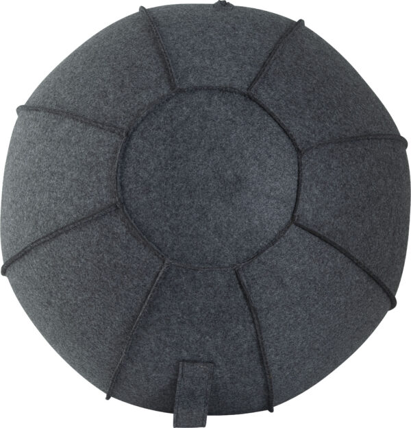 Κάλυμμα για Μπάλα Γυμναστικής AMILA GYMBALL 75cm - Image 3