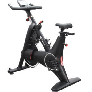 Viking Sparkle Ποδήλατο Spin