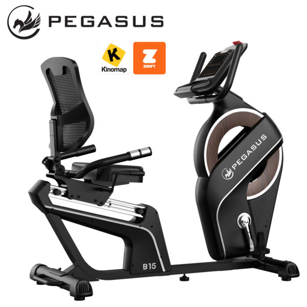 Pegasus® Καθιστό Ποδήλατο B15 (341996632)