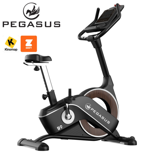 Ποδήλατο Γυμναστικής Pegasus® B9 (341996602)