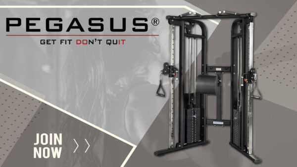 Pegasus® Functional Trainer Pro (327831221) - Image 4