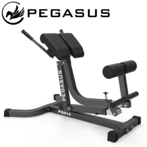 Pegasus® Πάγκος Ραχιαίων Ρυθμιζόμενος PG-014 (390167014)