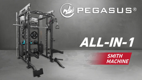 Pegasus® PG-2000 All-In-One Trainer (327200002) - Image 2