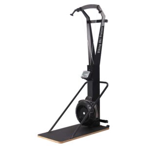 VIKING Ski Ergo