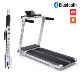 Διάδρομος Γυμναστικής Pegasus T60 2.5HP (Δ-3330) Διάδρομος Γυμναστικής Pegasus T60 2.5HP (Δ-3330)