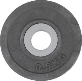 Δίσκος με Επένδυση Λάστιχου Amila 28mm 0,5kg
